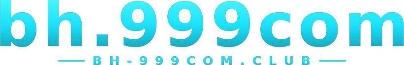 bh.999com logo